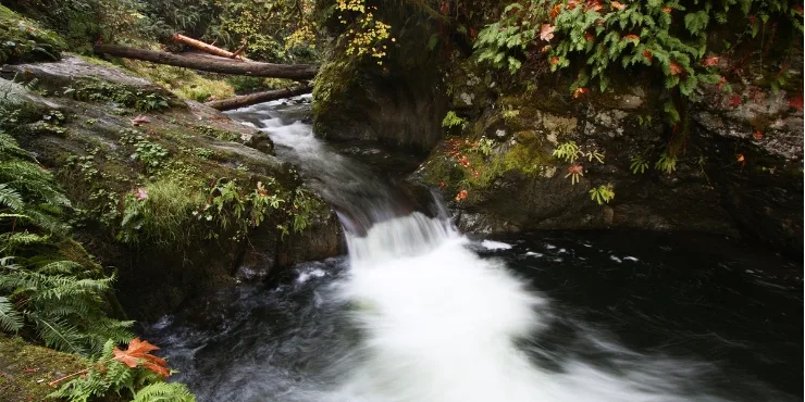 GOLDSTREAM NATIONAL PARK