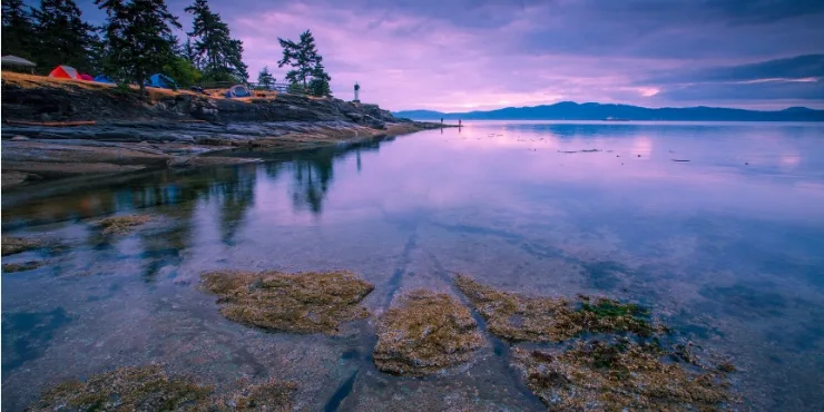 Saltspring Island - THINGS TO DO ON VANCOUVER ISLAND