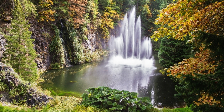 Butchart gardens in Autumn