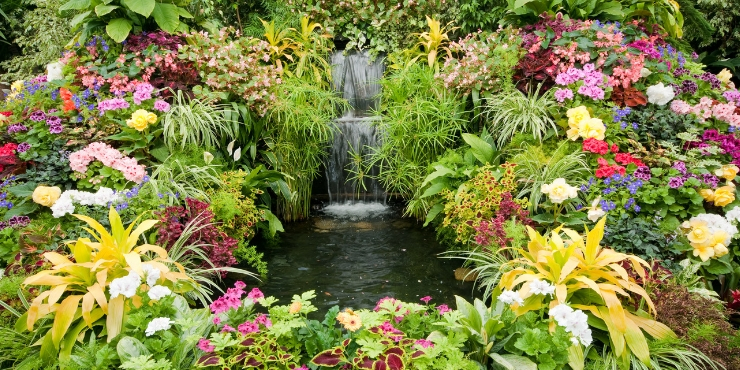 FLOWERS AT BUTCHART GARDENS