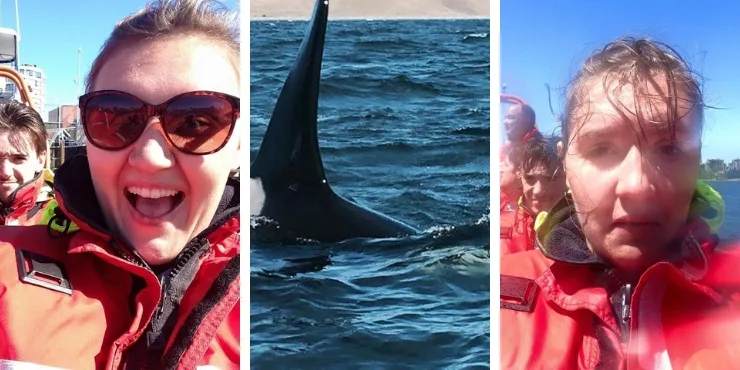 Orca watching in Vancouver Canada