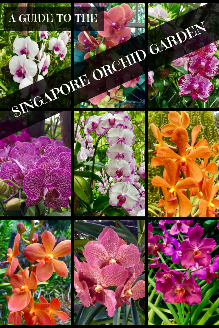 Singapore National Orchid garden
