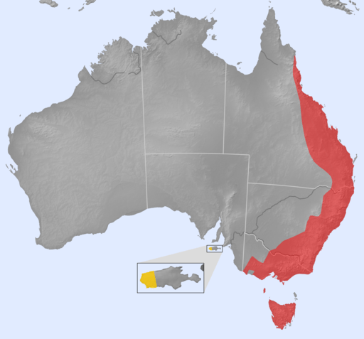 A map showing the distribution of platypus in Eastern Australia and Tasmania