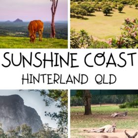 Best places to visit and things to do in the Sunshine Coast Hinterland