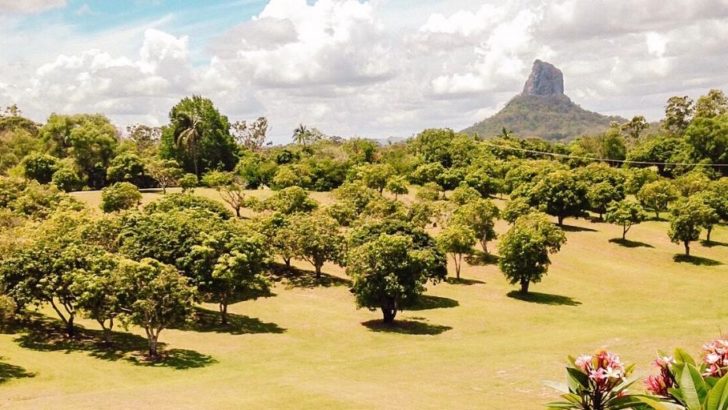 View of the Glasshouse Mountains in Queensland