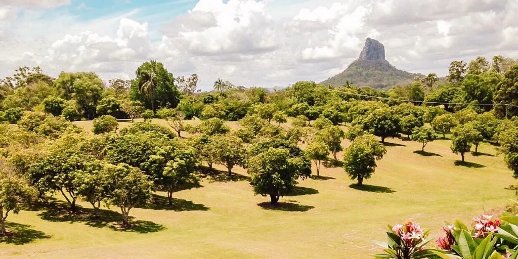 View of the Glasshouse Mountains in Queensland