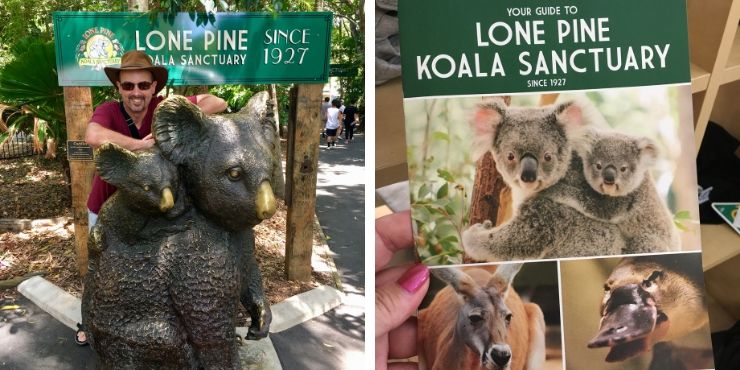 Lone Pine Koala Sanctuary