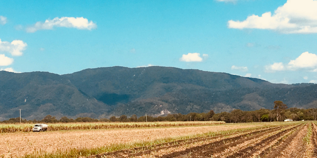 Peters sugar cane farm in N Queensland