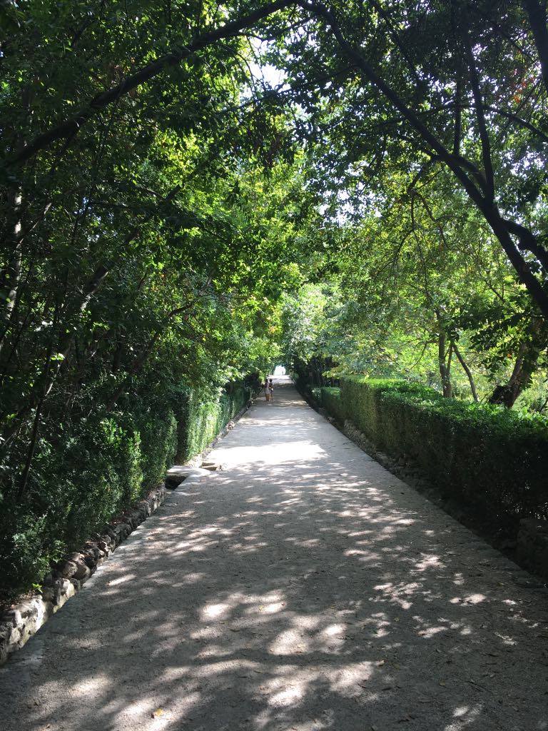 path to the gardens 