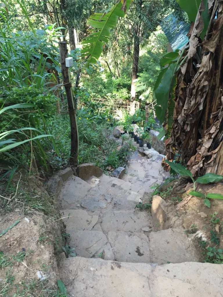 path-to-the-lodge-aribnb-srilanka