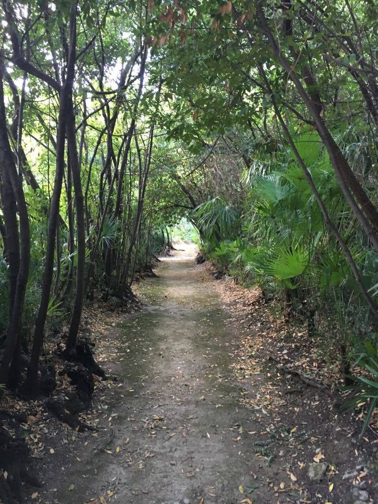 Shaded walks at the arboretum trsteno