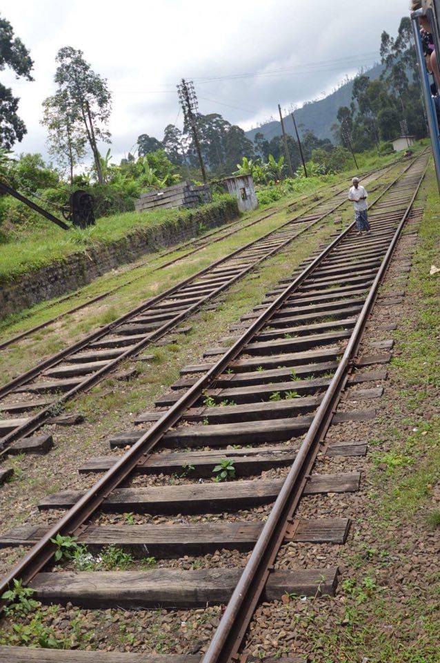 train-tracks train journeys to take in Sri Lanka