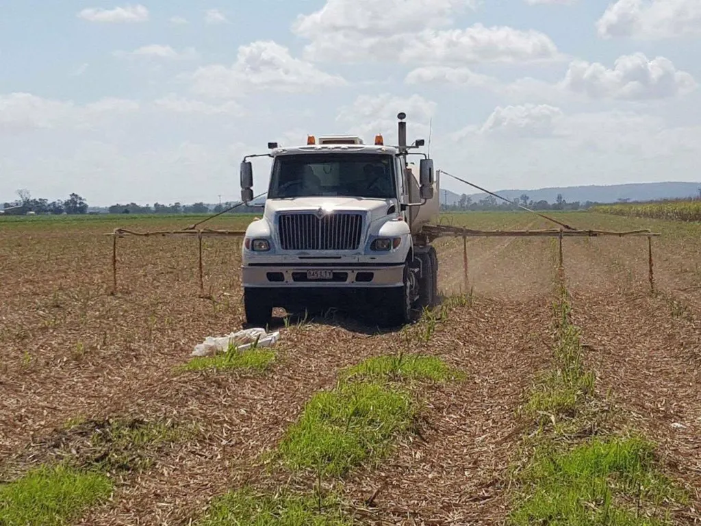 Cane framing in northern queensland