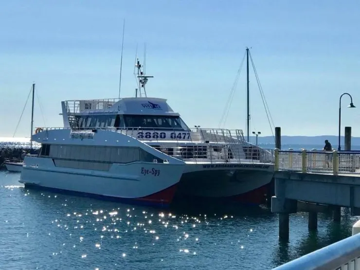 MV Eye Spy whale watching boat