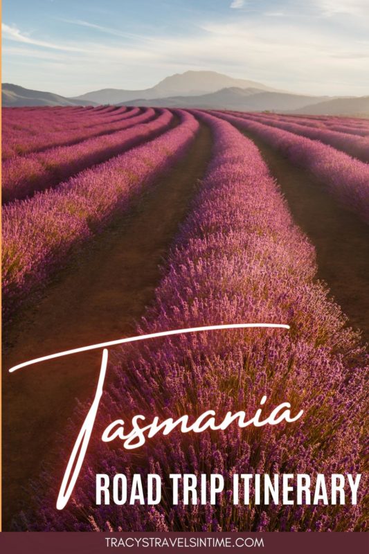 Tasmania Itinerary Road Trip
