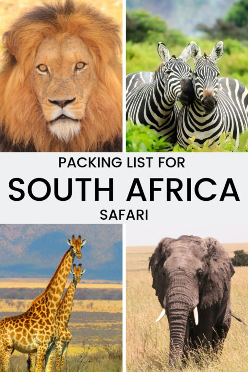 What to wear on safari in South Africa - a packing guide