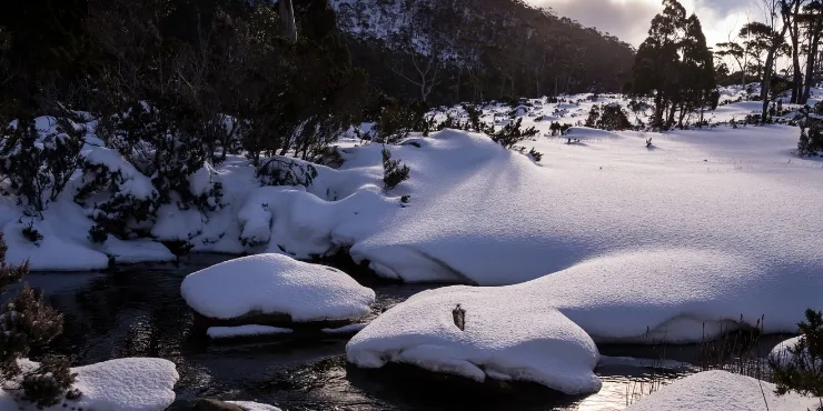 Tasmania winter