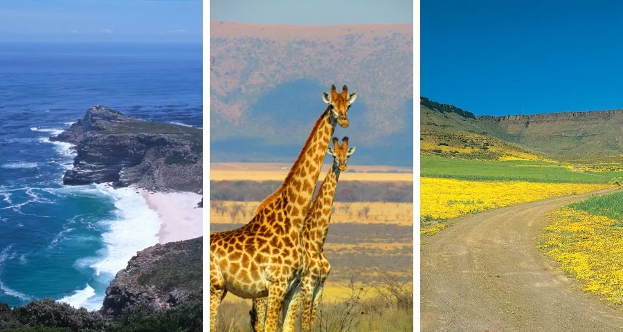 visiting south africa top tips to know