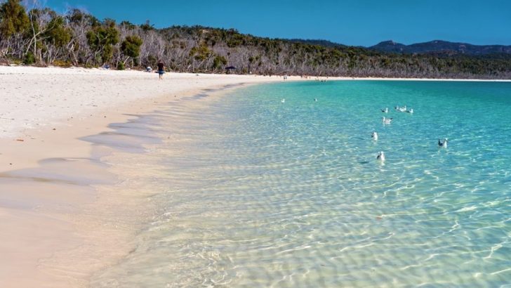 BEST BEACHES IN AUSTRALIA - WHITEHAVEN BEACH