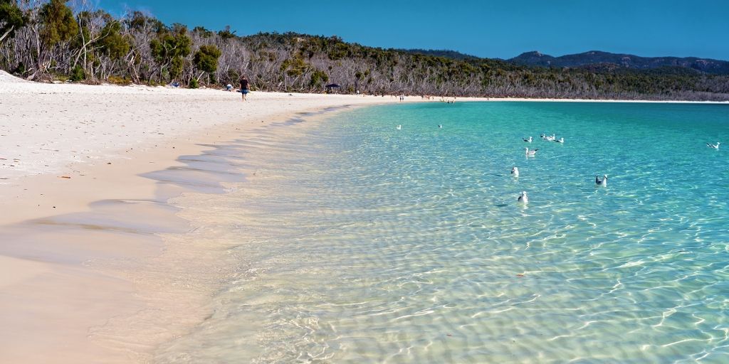 BEST BEACHES IN AUSTRALIA - WHITEHAVEN BEACH