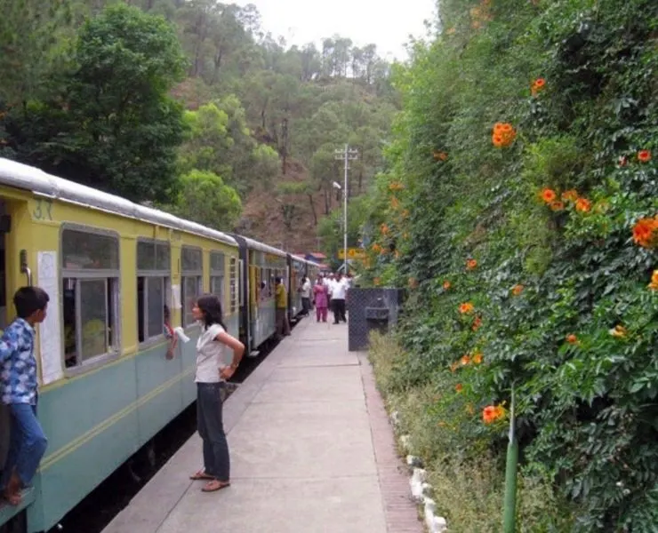 The Himalayan Queen in India