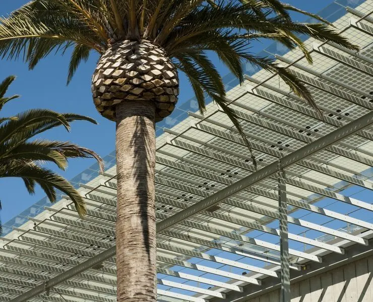 CALIFORNIA ACADEMY OF SCIENCES