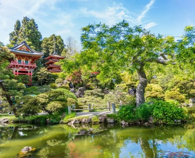 JAPANESE TEA GARDEN   