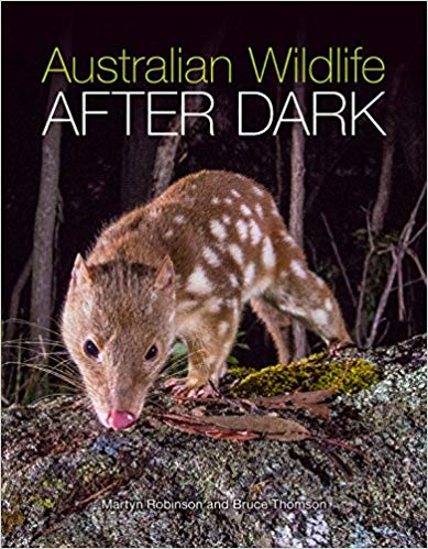 Australian Wildlife after dark