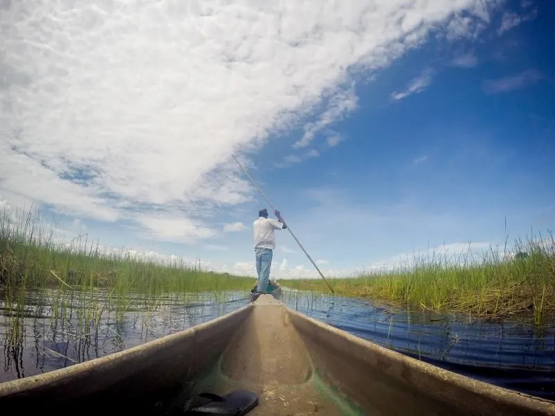 Mokoro Canoe Trip in the Okavango in Botswana