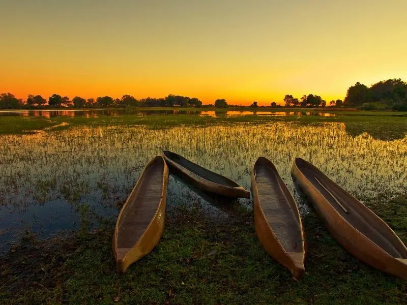 Okavango canoes