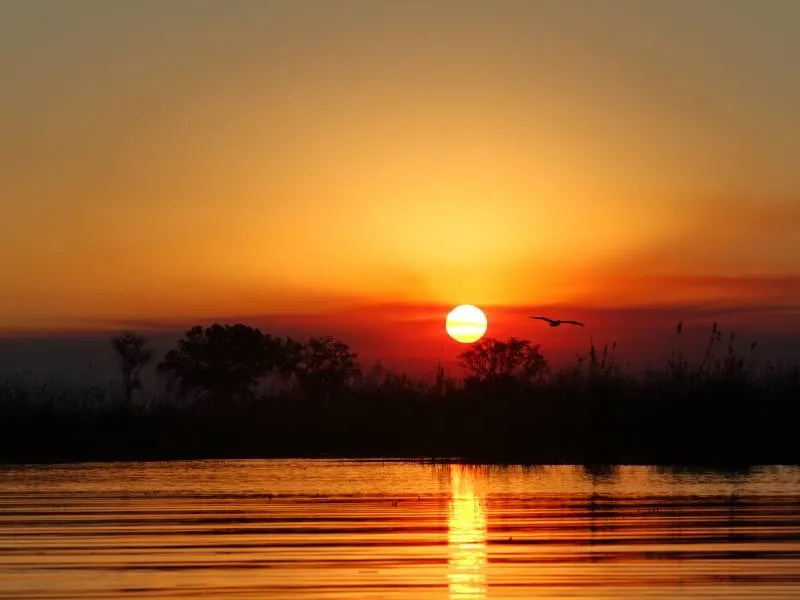 Okavango in Botswana