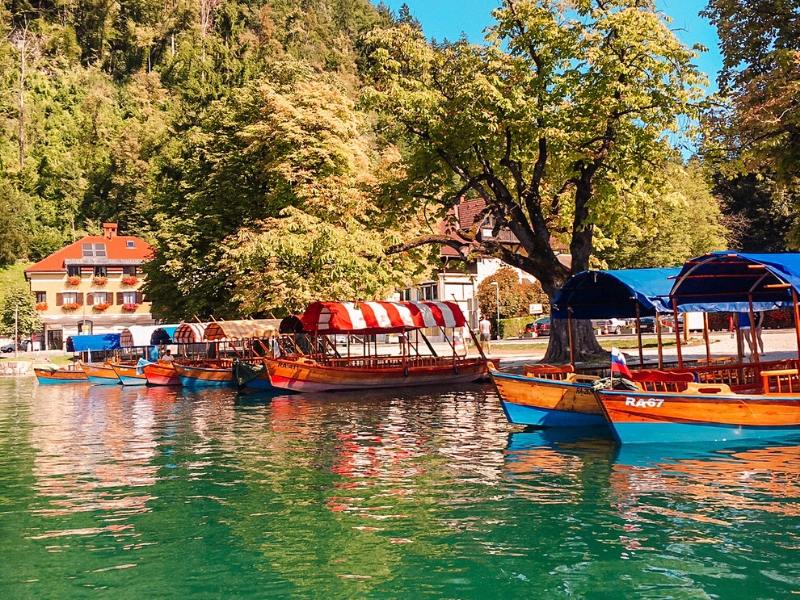 Pletnas moored at Lake Bled.