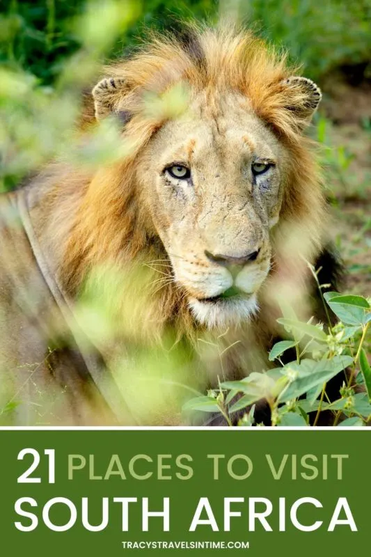 21 places to visit in South Africa Bucket list