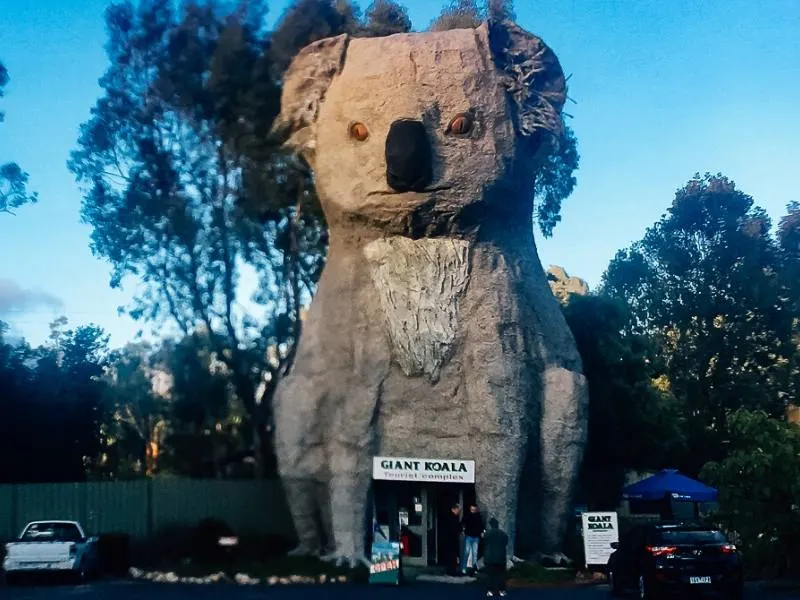 The Big Koala in Australia is one of Australia's big things 