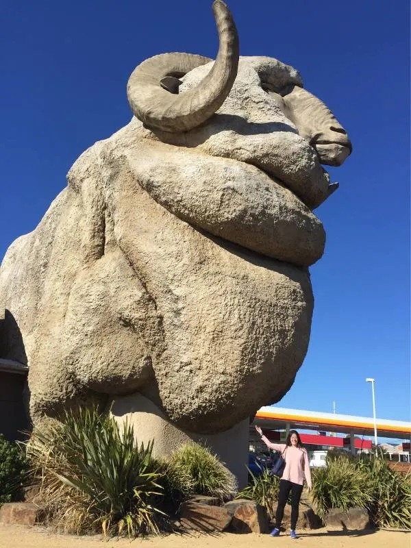A huge merino sheep statue