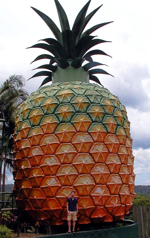 A large pineapple statue with a man standing beside it on of Australia's Big Things