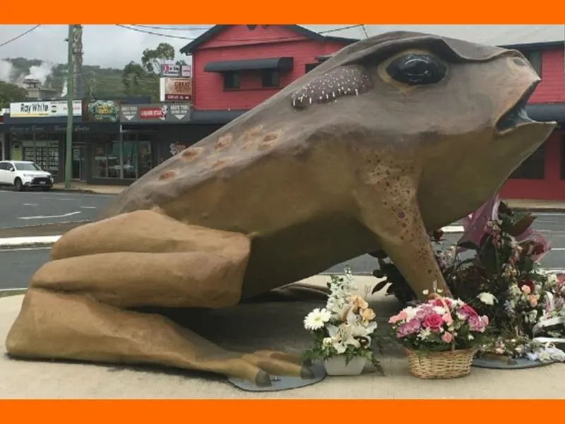The Big Toad in Sarina Queensland