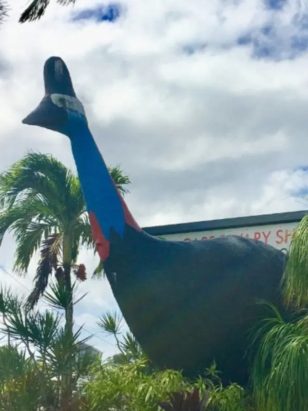 A big cassowary statue