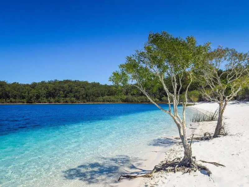 An inland lake on Fraser Island in Australia
