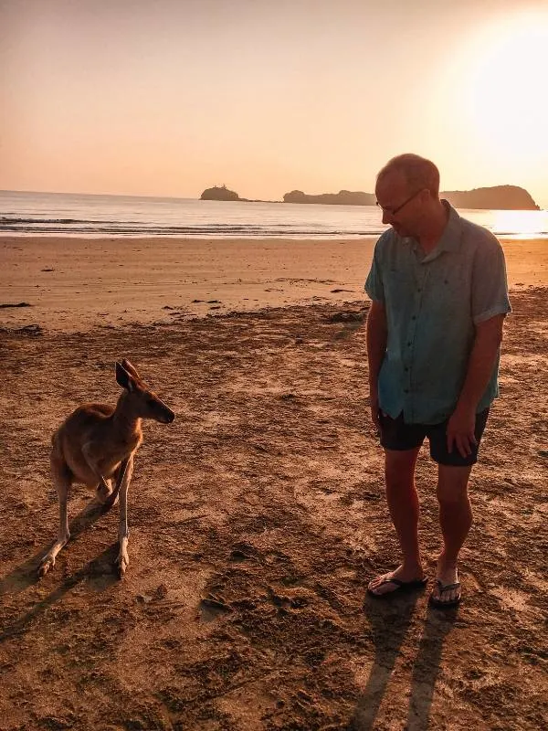 Cape Hillsborough kangaroos on the beach at sunrise.