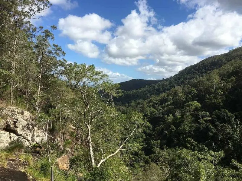 Kondalilla Falls in the Sunshine Coast hinterland