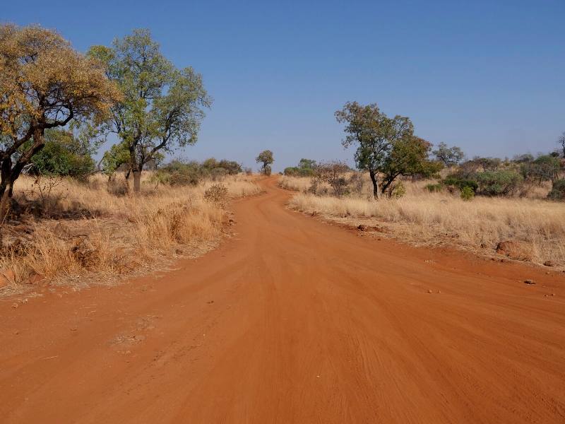 An orange dusty road in the Pilanesburg in South Africa.