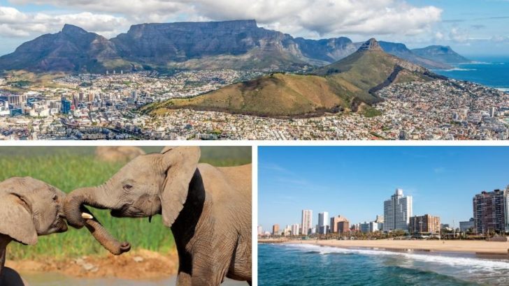 collage of pictures of south africa