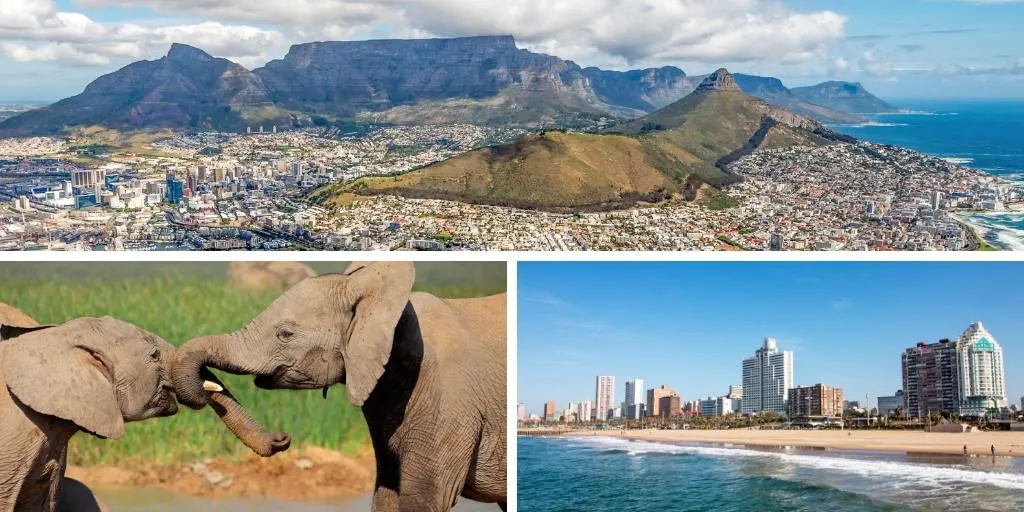collage of pictures of south africa