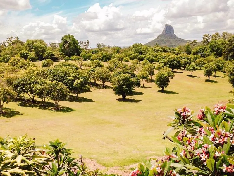 The Glasshouse Mountains in the Sunshine Coast Hinterland