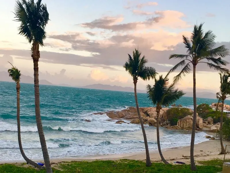 A beach with palm trees