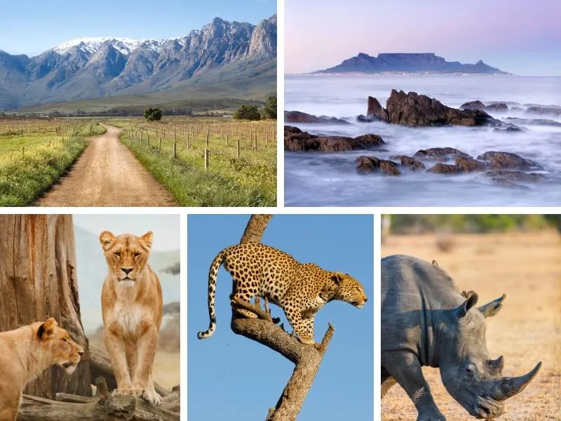 South Africa Travel Guide