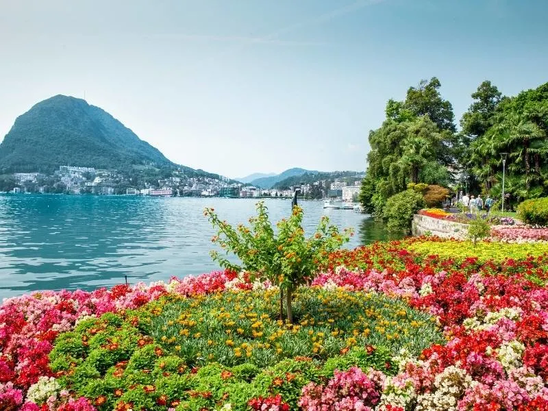 Colourful flowerbeds on the edge of a lake
