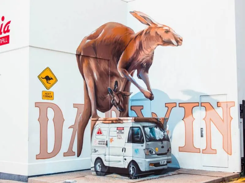 Kangaroo street art in Darwin