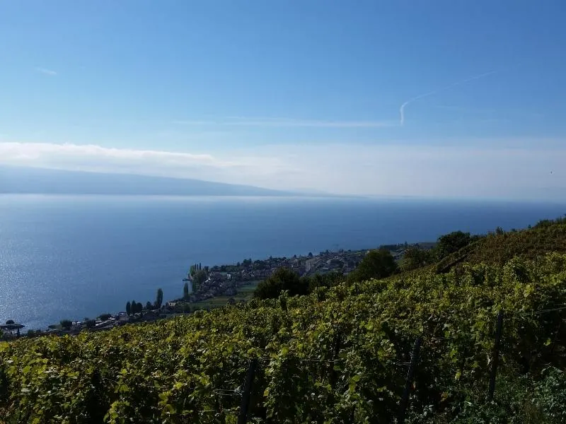 View of Lake Geneva in Switzerland